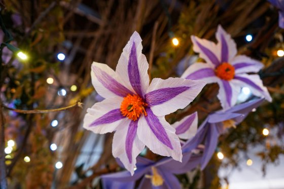 A image of handmade paper flowers in white and purple.